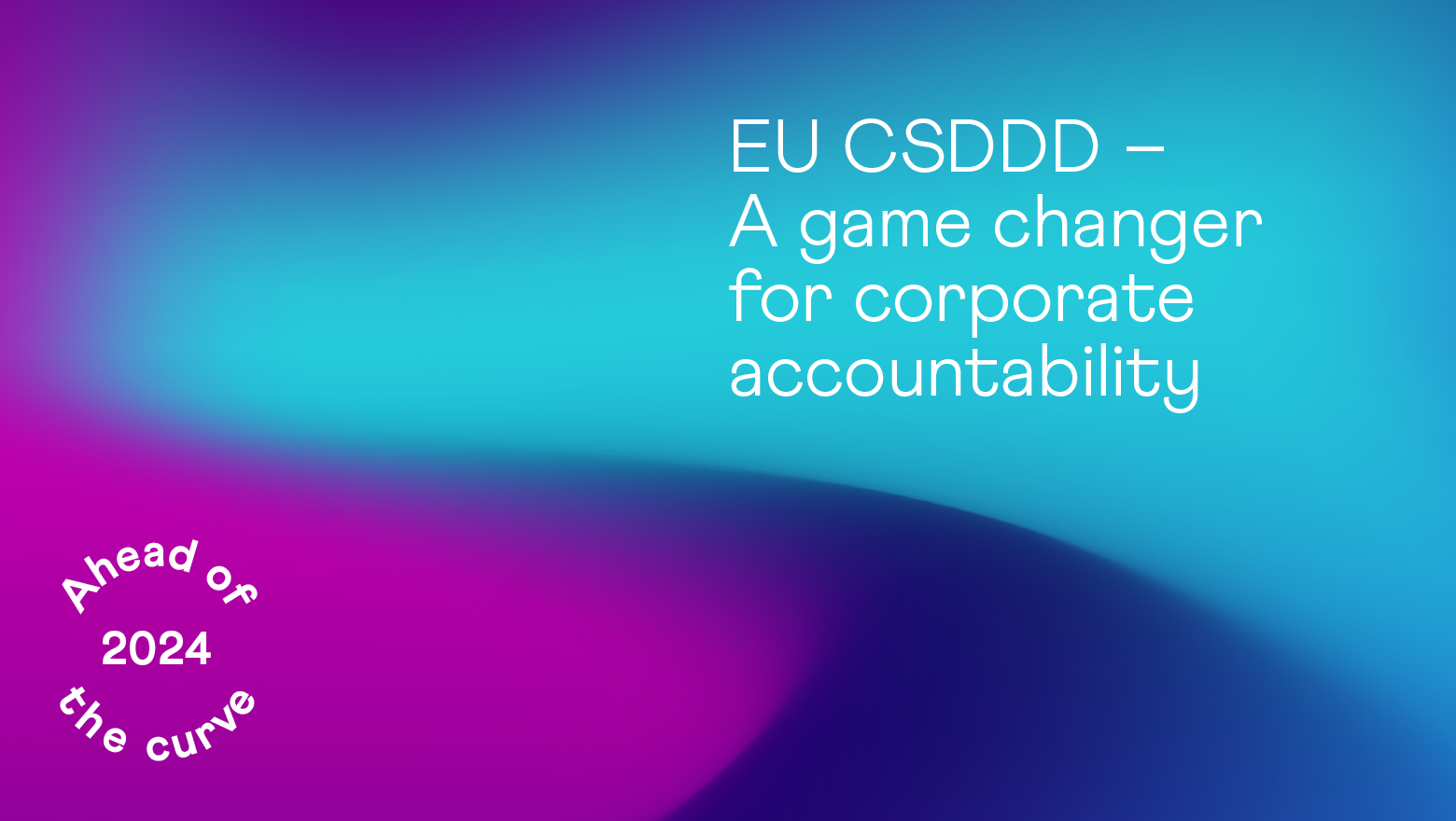 EU CSDDD – A game changer for corporate accountability