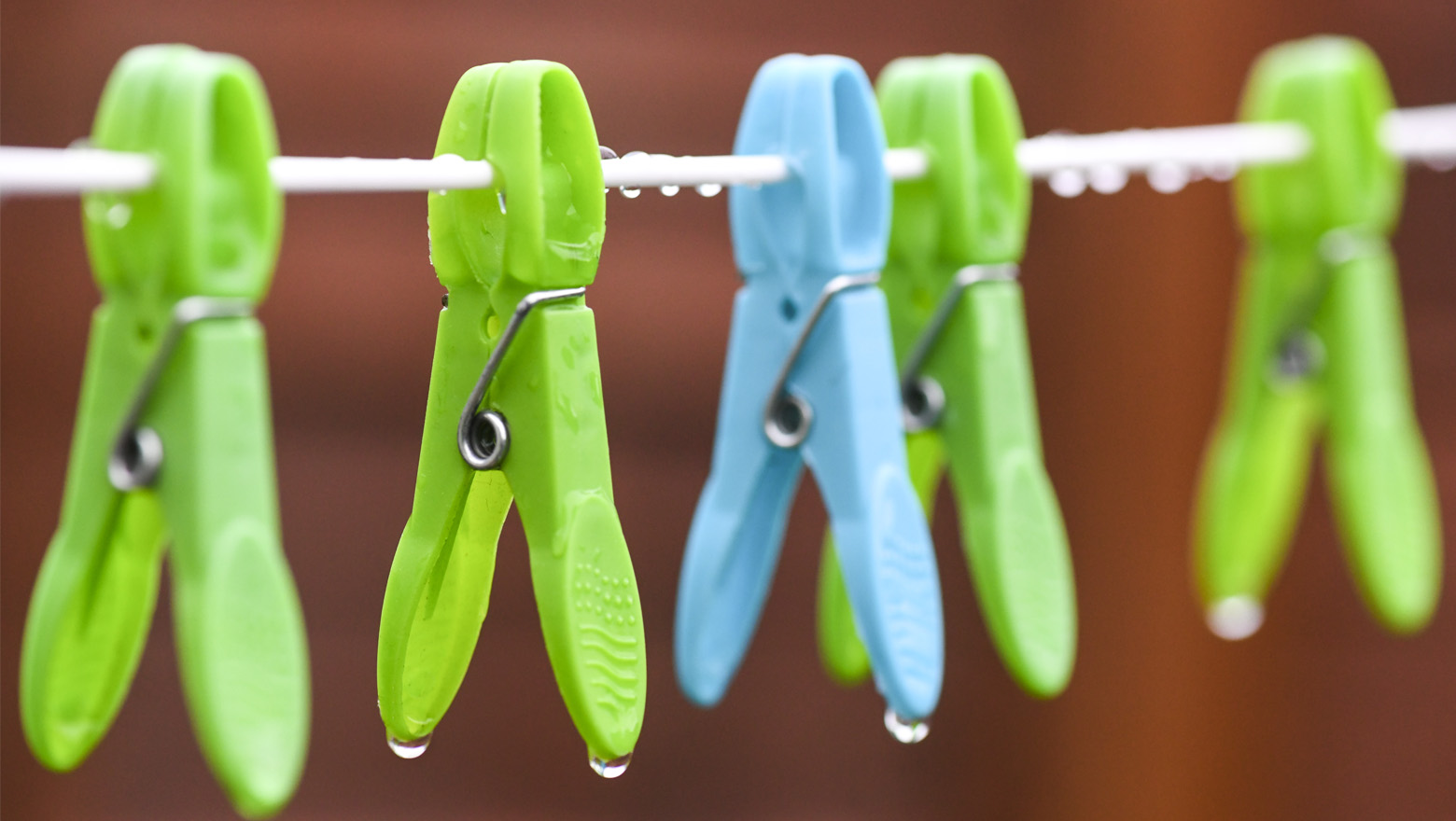 greenwashing-banner-885265932_.jpg