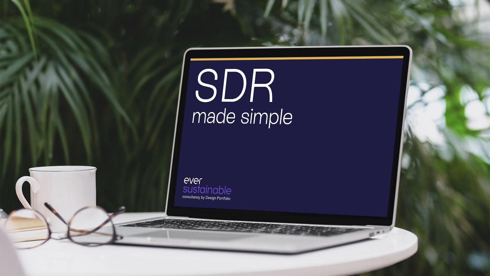 Sustainability Disclosure Requirements (SDR) made simple factsheet