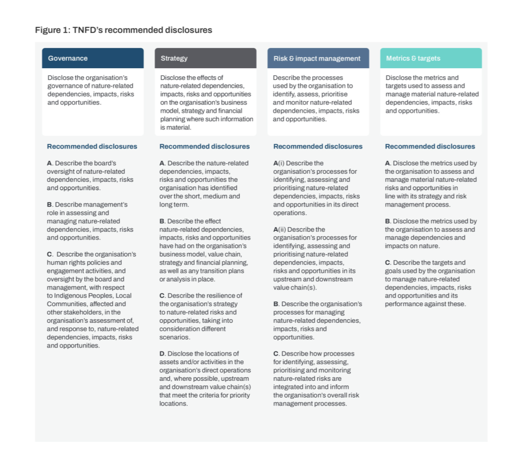 TNFDs recommended disclosure 4 pillars