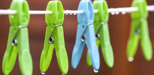 greenwashing-banner-885265932_.jpg
