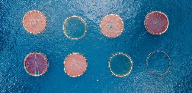 circular-fishing-nets-banner-1560x880.jpg